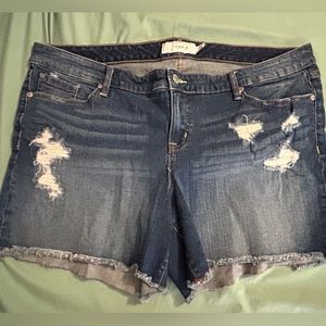 Torrid Jean Short - size 22 NWOT